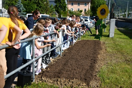 SEJEMO SONČNO PRIHODNOST 2026 (6)